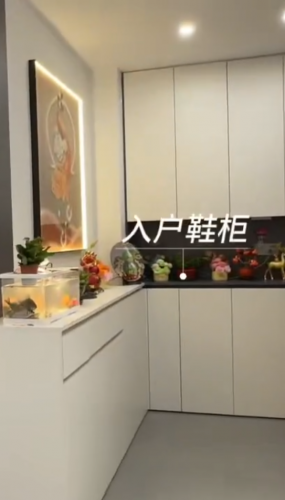 观澜城三期全屋软装落地